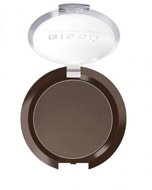 POLVO PARA CEJA BISSÚ 08 CLAVO